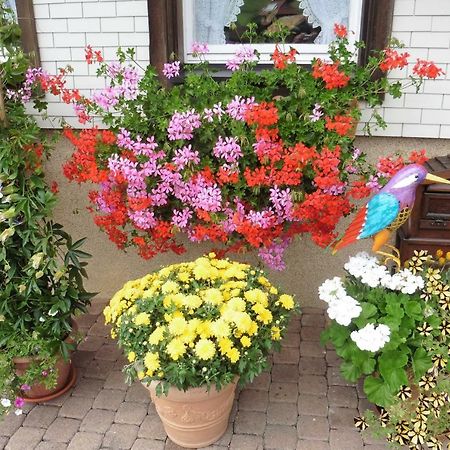 布莱特瑙Ferienhaus Ehinger公寓 外观 照片