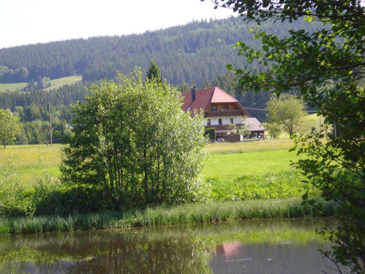 布莱特瑙Ferienhaus Ehinger公寓 外观 照片