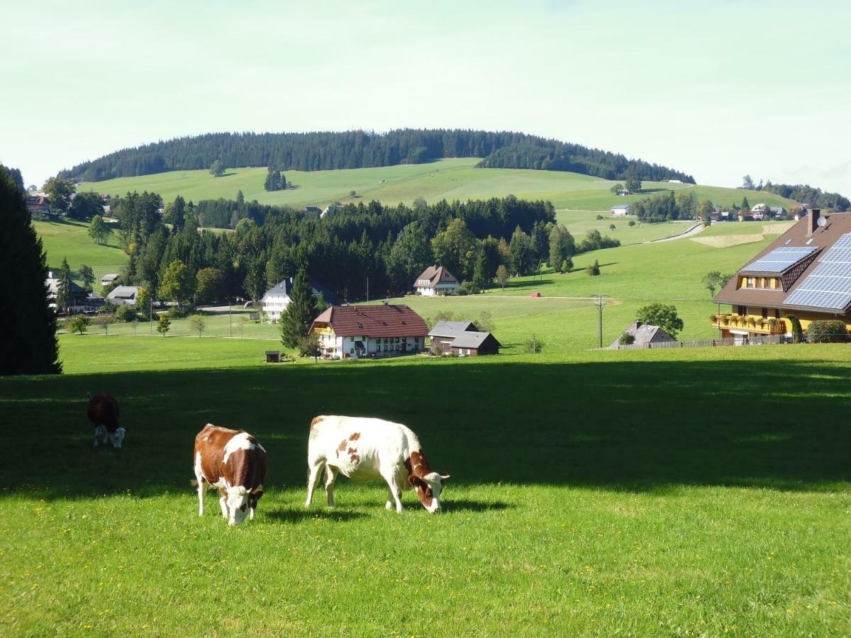 布莱特瑙Ferienhaus Ehinger公寓 外观 照片