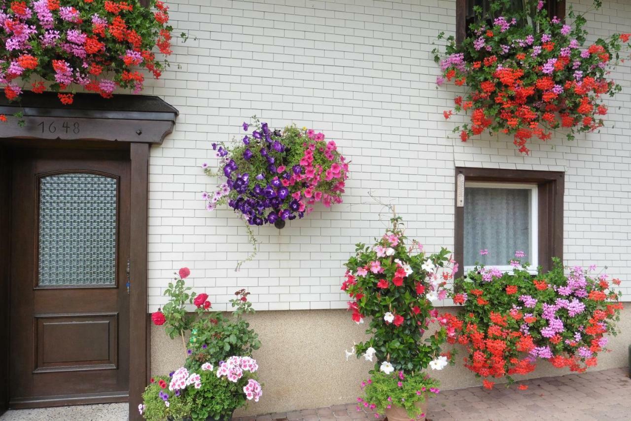 布莱特瑙Ferienhaus Ehinger公寓 外观 照片